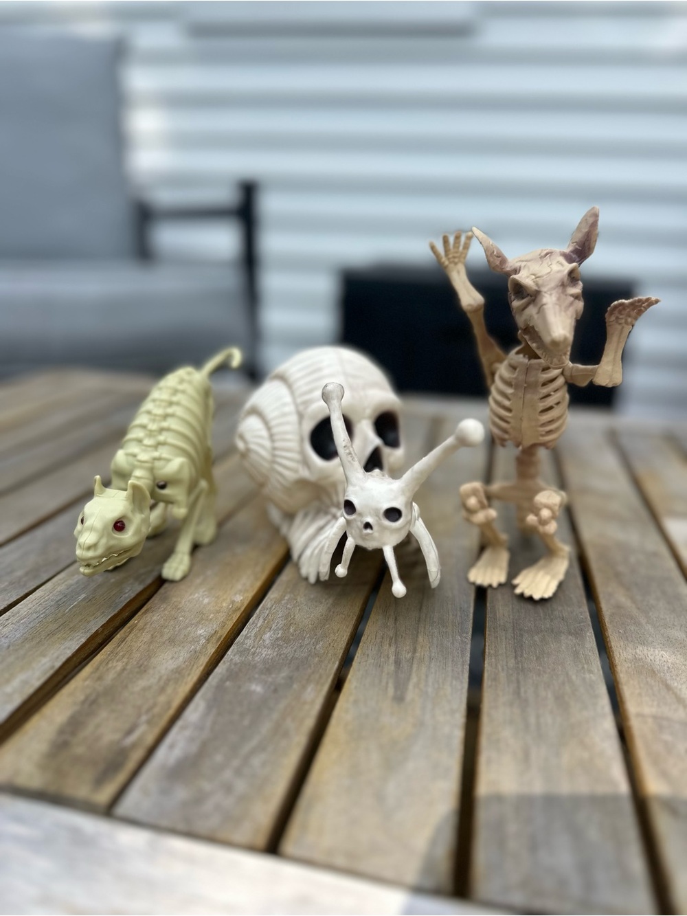 Small Decorative Skeleton Set